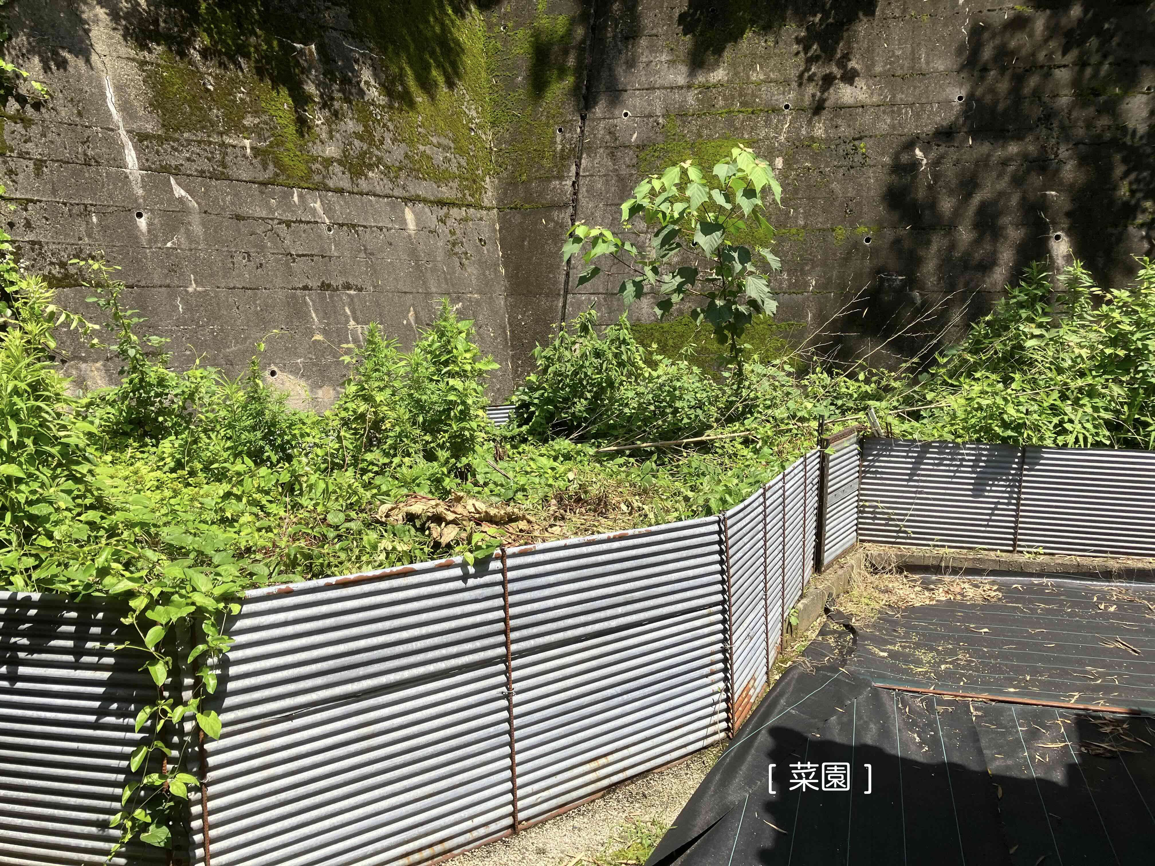 No209#部屋数が多く、広々とした庭つき物件