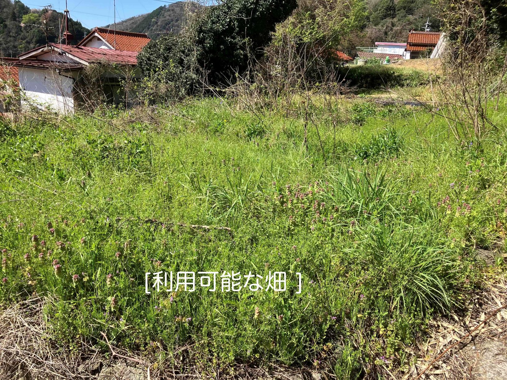 No220#全面リフォーム済みのコンパクトな住宅(UIターン者専用)
