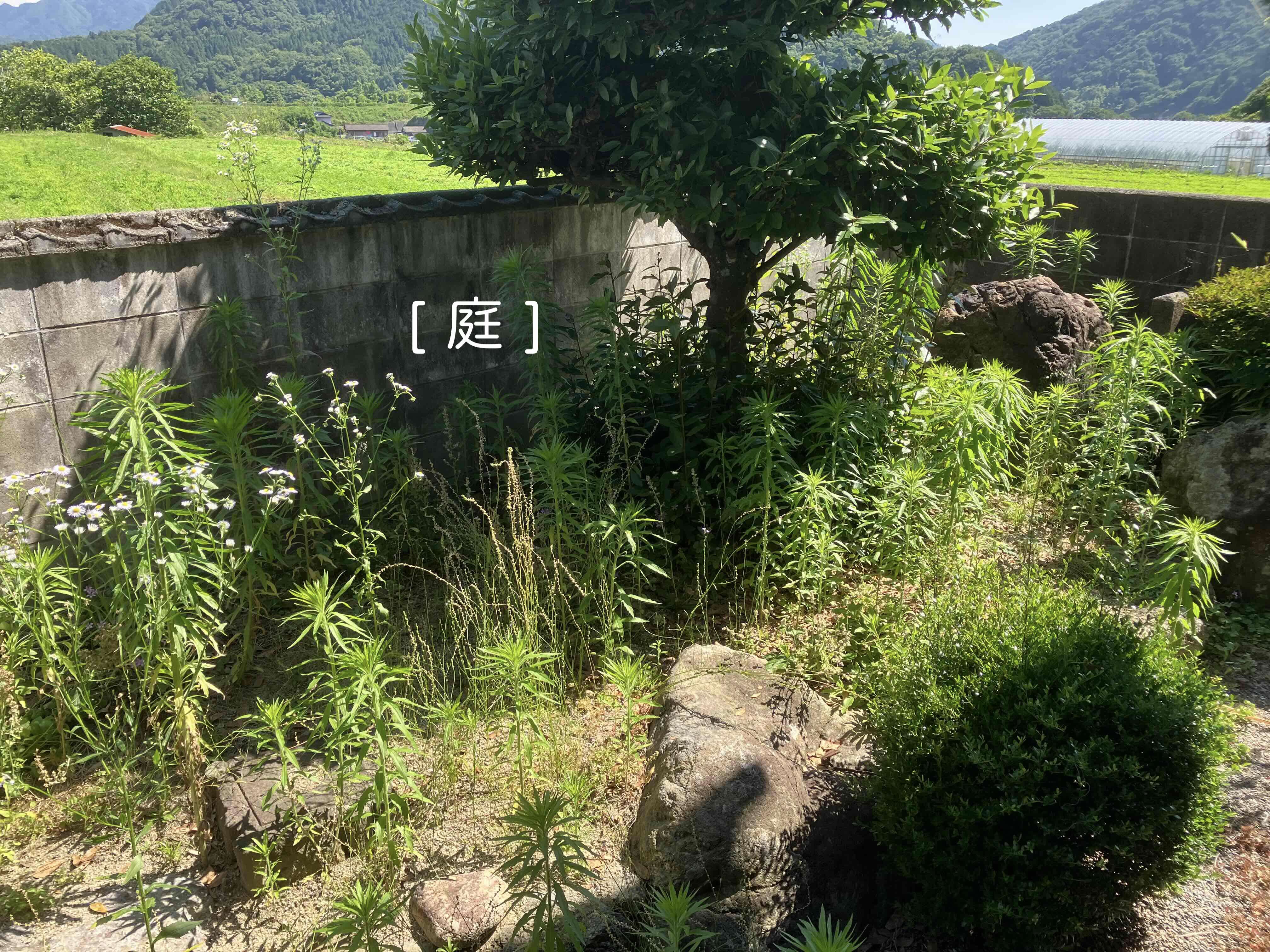 No223#日当たりと風通しのよい高台の家